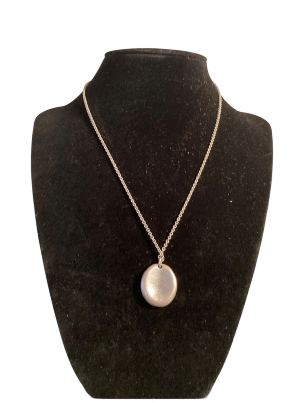 American Eagle Outfitters 925 sterling silver clasp necklace with pendant.